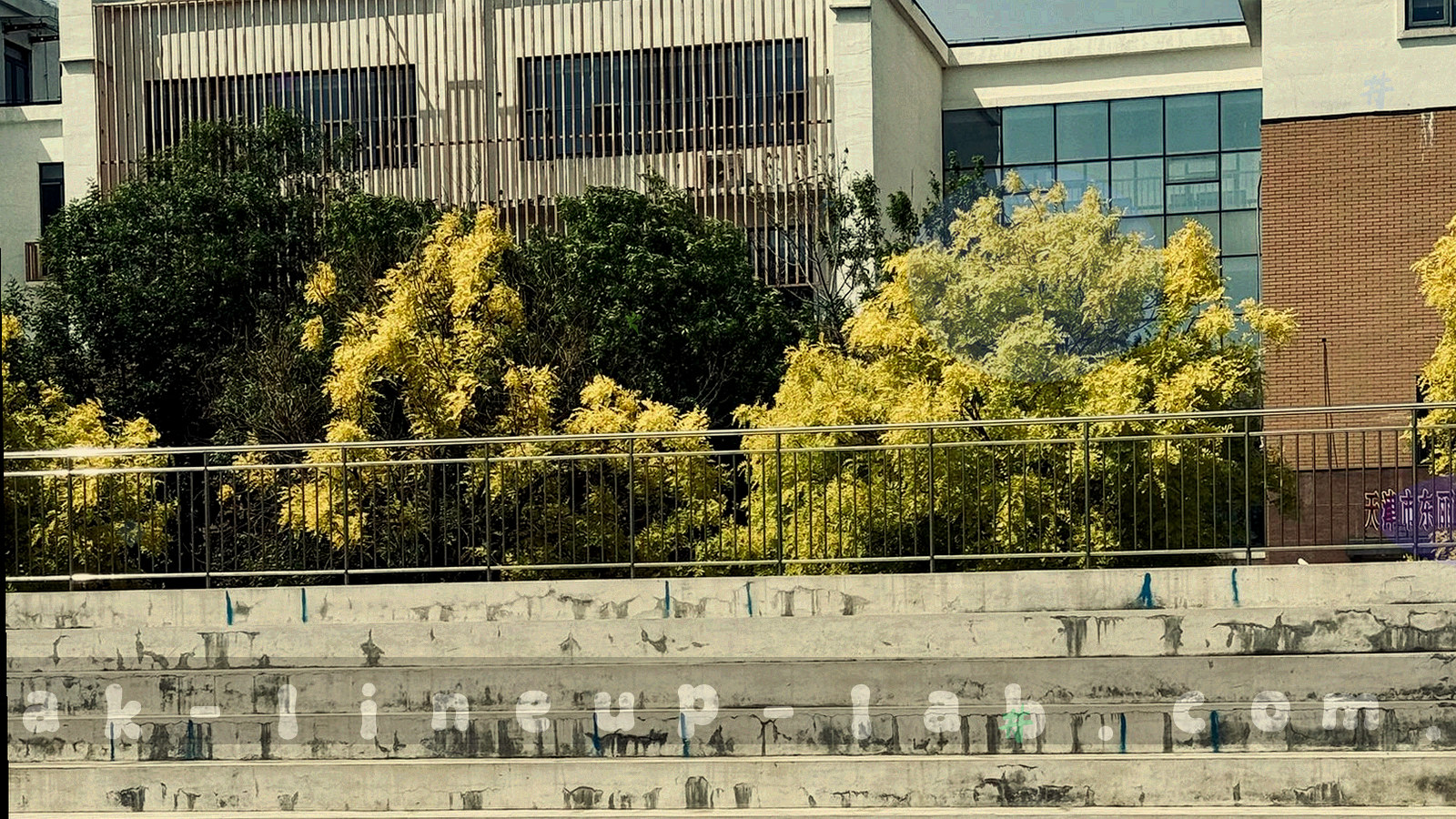 夜间球场灯光下的草皮纹理与观测标记抽象画面，无人物面孔